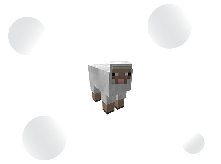 404